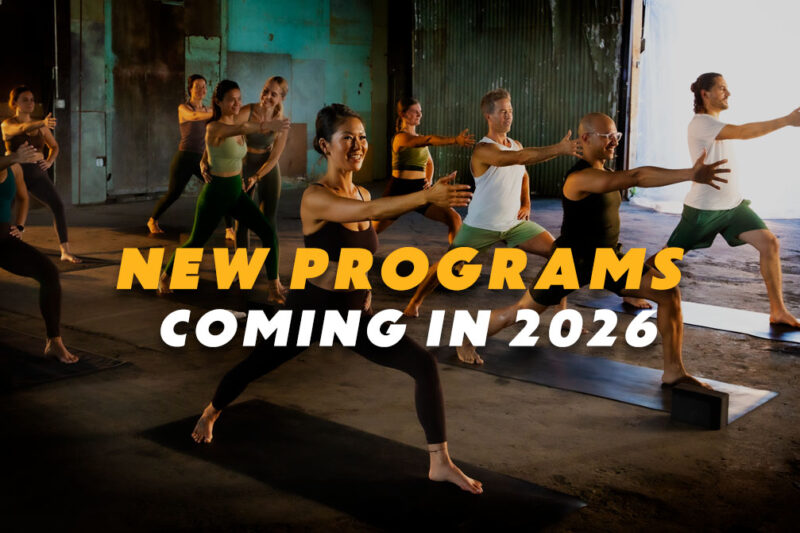 Beginner’s Guide: Transformative Yoga Program Unveiled